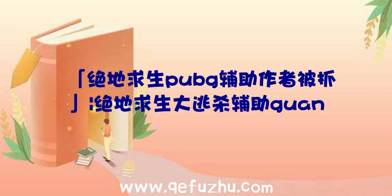 「绝地求生pubg辅助作者被抓」|绝地求生大逃杀辅助guan